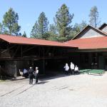 IMG_7539 (May 28, 2024)